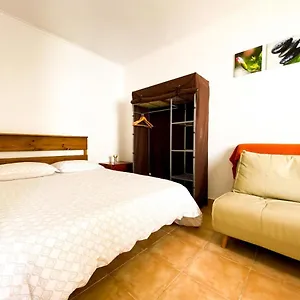 Estúdio Cozy - Acolhedor E Renovado Apartamento